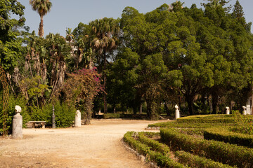Poster - A path through a lush green garden with statues and manicured hedges