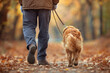 © lmot11 - A man walking with a dog on a leash in autumn park