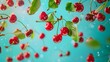 © Suleyman - Juicy, crisp cherries with vibrant green leaves gently float against a vibrant turquoise backdrop. This mesmerizing image captures the essence of food suspended in a weightless space.