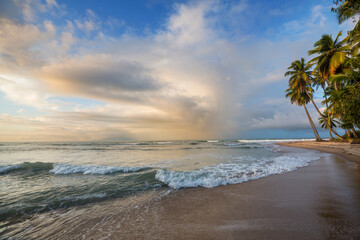 Sticker - Tropical beach