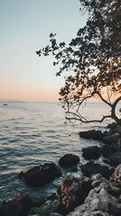 Poster - Tree Branch Overlooking the Sea at Sunset