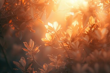 Poster - A warm and cozy scene with sunlight shining through the leaves of a tree