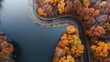 © LifeMedia - Aerial view of a winding road cutting through a vibrant autumn forest near a tranquil lake, showcasing the stunning seasonal foliage and the serene water reflections.
