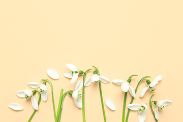 Wall Mural - Blooming snowdrops on beige background