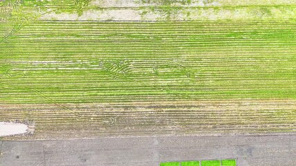 Wall Mural - housing development, aerial view from drone shows land use and agricultural land planning for residential areas in Indonesia.