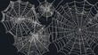 © Юлия Жигирь - spider web with dew drops