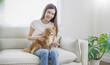 © paulaphoto - Asian beautiful young lady woman holding dog on sofa living room. Pet dog lover spend leisure time at home. Portrait of cheerful female owner smile on cozy sofa couch playing with best friend dog.