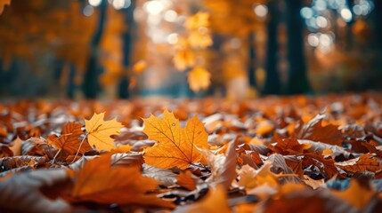 Wall Mural - Autumn Leaves Blanket the Forest Floor in Close-Up: A Fall-Themed Nature Background