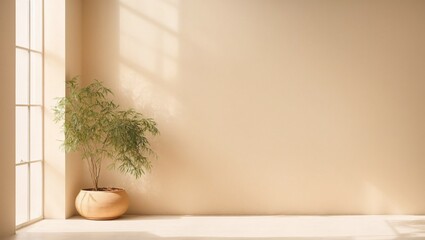 Sunlit Tranquility: A minimalist interior bathed in warm sunlight, featuring a solitary plant casting delicate shadows.