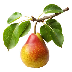 Wall Mural - pear