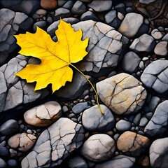 Poster - Leaf and rocks. Yellow leaf among the rocks.