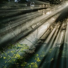 rain in the forest