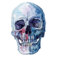 Wall Mural - A skull with blue, red and white paint on it