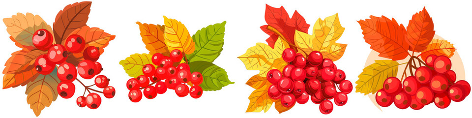 Sticker - Four different types of berries are shown in a row