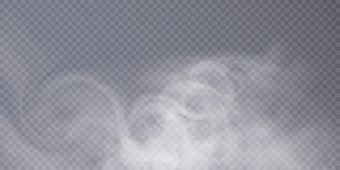 Poster - Realistic white smoke. Translucent steam on a transparent background. Vector overlay effect.