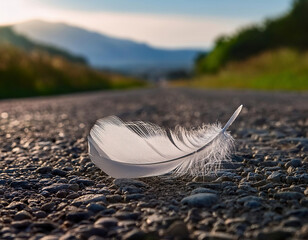 White feather on the asphalt road in the mountains. Beautiful nature background