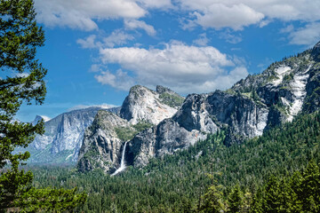 Canvas Print - Summer landscape in Yosemite Valley, California	