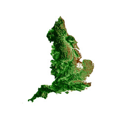 Poster - England Topographic Map 3d realistic map Color 3d illustration
