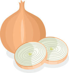 Poster - Whole onion and fresh onion slices