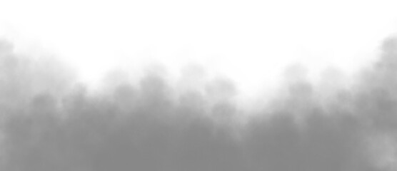Wall Mural - Gray smoke or fog on white copy space background