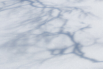 Wall Mural - natural tree branch shadow pattern on pure white snow background