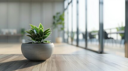 Poster - Green Plant in a Gray Pot on a Wooden Table