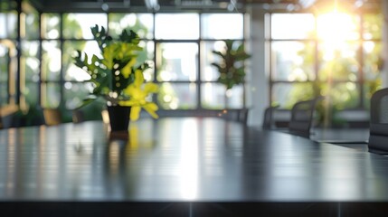 Sunlit Meeting Room Table with a Plant in Focus