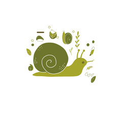 Wall Mural - snail on a white background