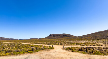arid landscape in the namaqualand region of south africa