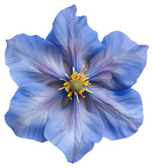 Sticker - PNG Vibrant blue flower close-up