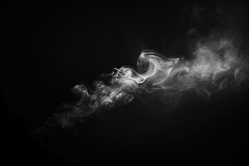 White smoke art on a pure black background, creating a striking and abstract visual effect...