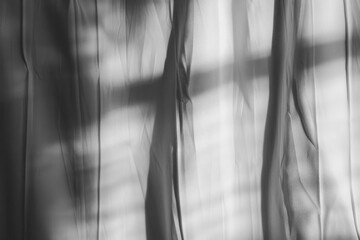 Canvas Print - PNG  Soft light through sheer curtains