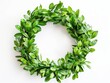 © Vlad - Wreath On White. Chaplet Ornament Crafted from Green Boxwood Leaves for Festive Season