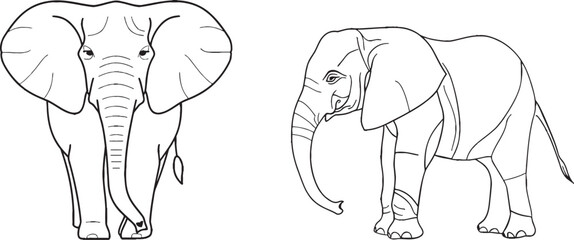 Leinwandbilder - Single line art of standing elephant walking. Modern illustration of an elephant in all its glory.
