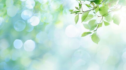 Wall Mural - A leafy tree branch with a blue sky background