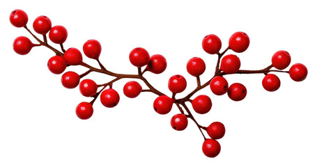 Wall Mural - png cherry plant fruit cranberry.