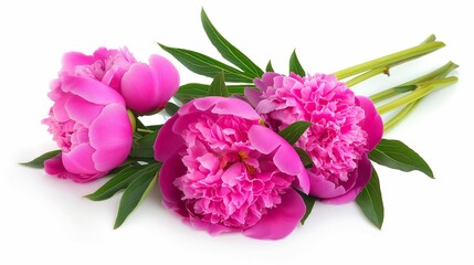 Wall Mural - Three pink flowers with green leaves are arranged in a bouquet. The flowers are in full bloom and are arranged in a way that highlights their beauty. The bouquet is placed on a white background