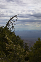 Beautiful Catalina Mountains landscape view from Mount Lemmon in Tucson, Arizona, United States, 