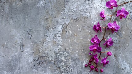 Poster - Orchid Blooms on Cracked Concrete