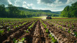 © Oksana - Farm tractor working on green fields with mountains.