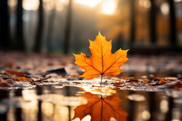 Wall Mural - Landscape with floor covered with autumn foliage