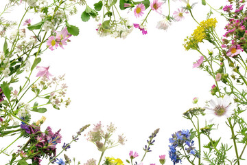 Sticker - PNG Colorful wildflowers frame white