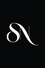 sn letter logo design