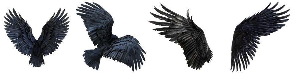 Collection of black pride wings isolated on transparent or white background