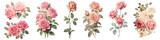 Vintage rose flower png cut out element set