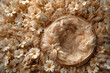 © erika8213 - Digital background for newborn photos with empty fluffy round Moses' bed.