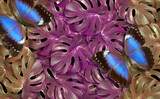 Fototapeta Zwierzęta - bright blue tropical morpho butterflies on monstera leaves. bright jungle nature background.