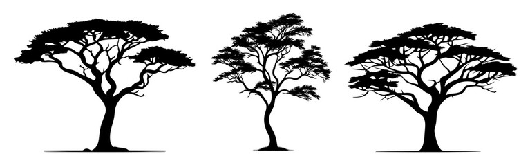 Poster - Tree silhouette png cut out element set