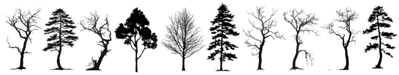 Canvas Print - Silhouette trees png cut out element set