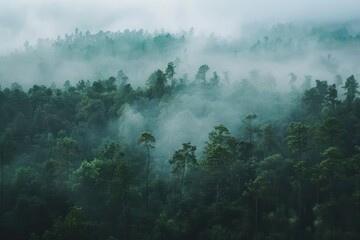 Canvas Print - fog in the mountains